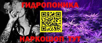прущие крисы Донецк
