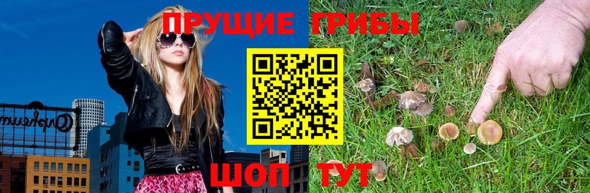 Галлюциногенные грибы GOLDEN TEACHER  Вход с VPN  Галлюциногенные грибы Psilocybine cubensis  Энгельс 