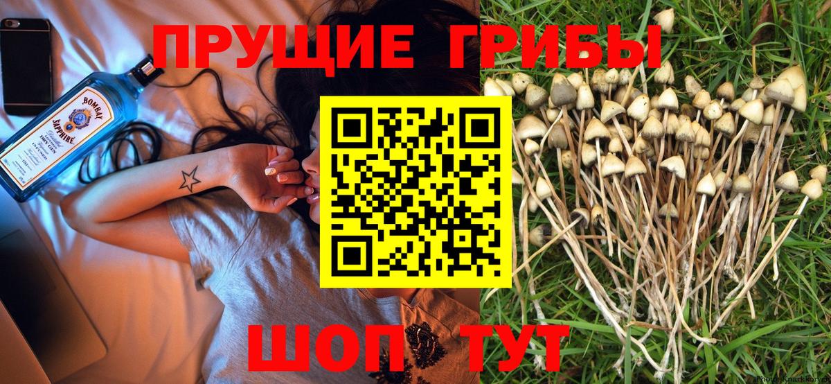 Галлюциногенные грибы мухоморы Энгельс
